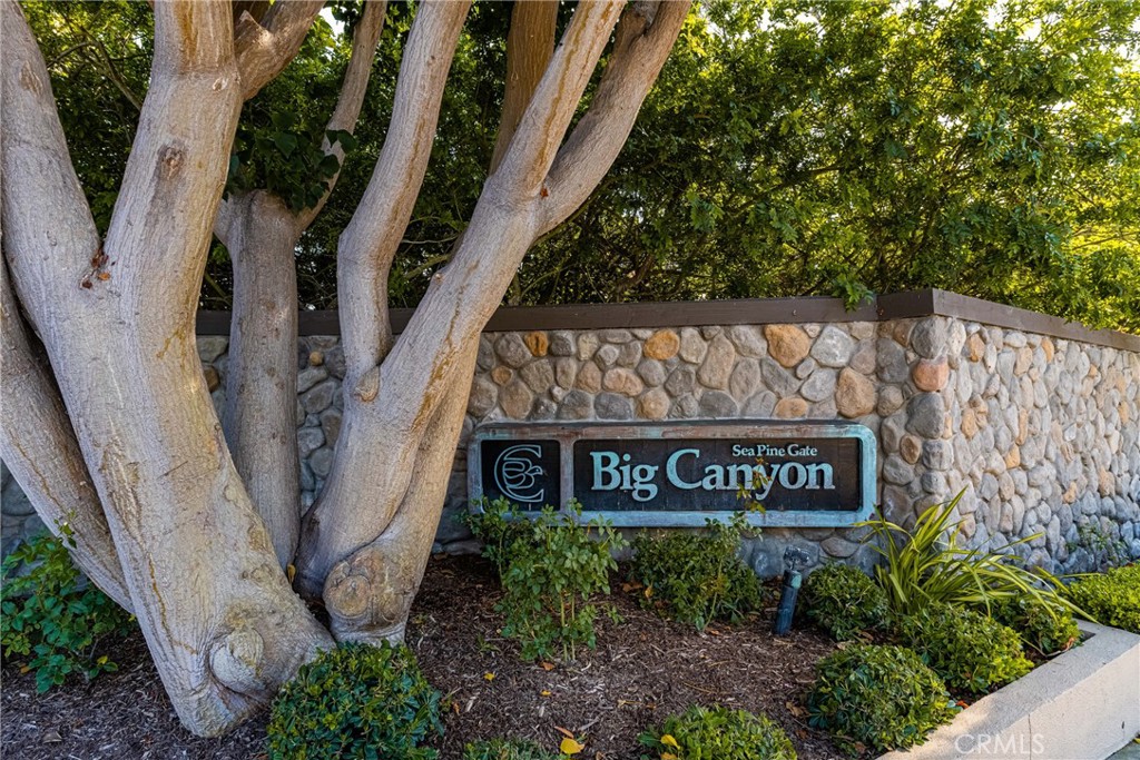 9 Canyon Island Drive Property Photo 26