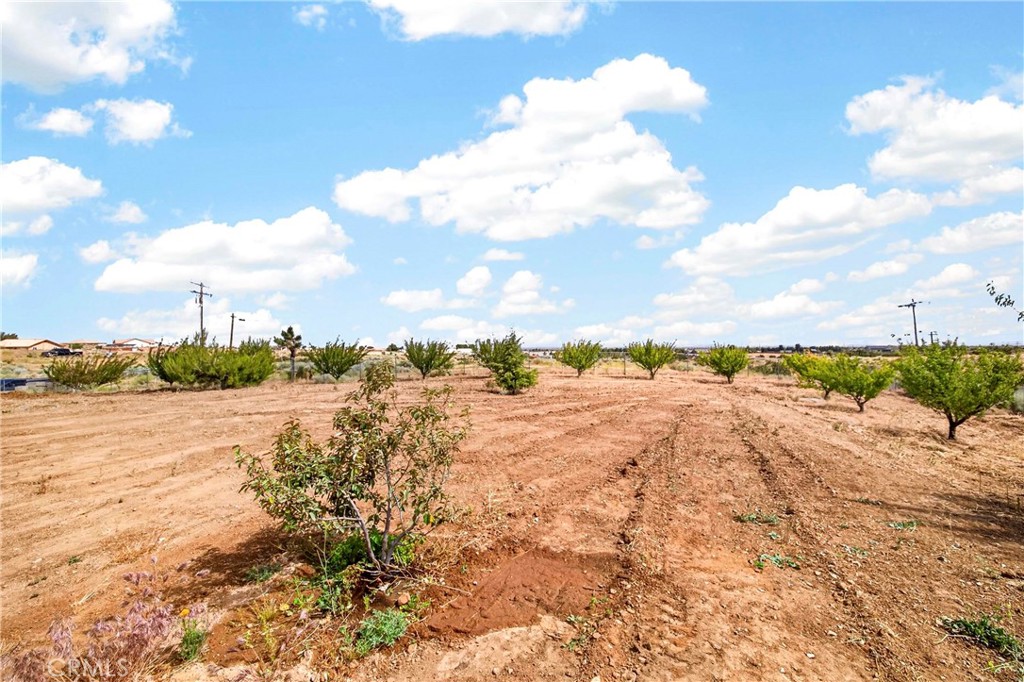 5445 Snow Line Property Photo 5