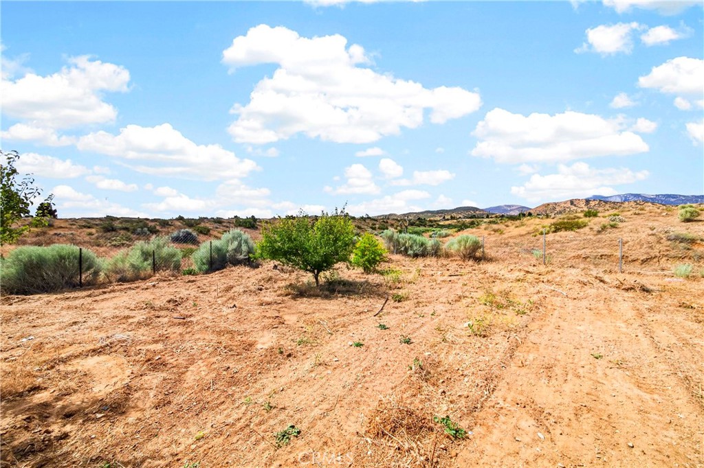 5445 Snow Line Property Photo 24