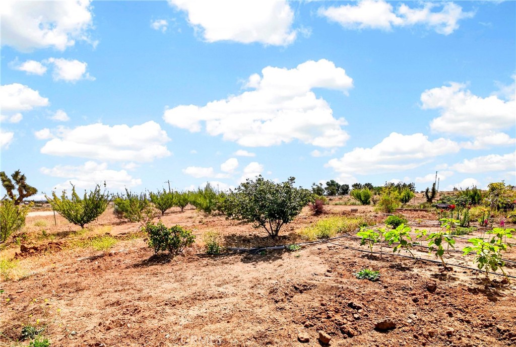 5445 Snow Line Property Photo 44