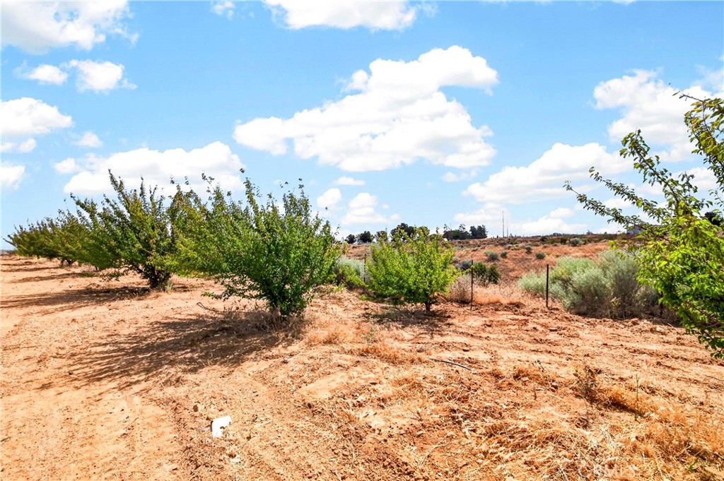 5445 Snow Line Property Photo 50