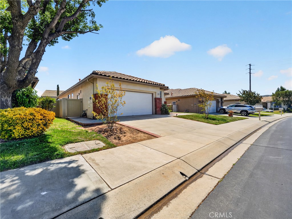1436 Riviera Property Photo 5