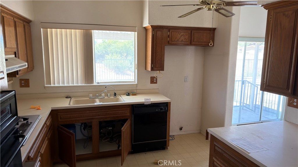 1561 Ailanthus Property Photo 8