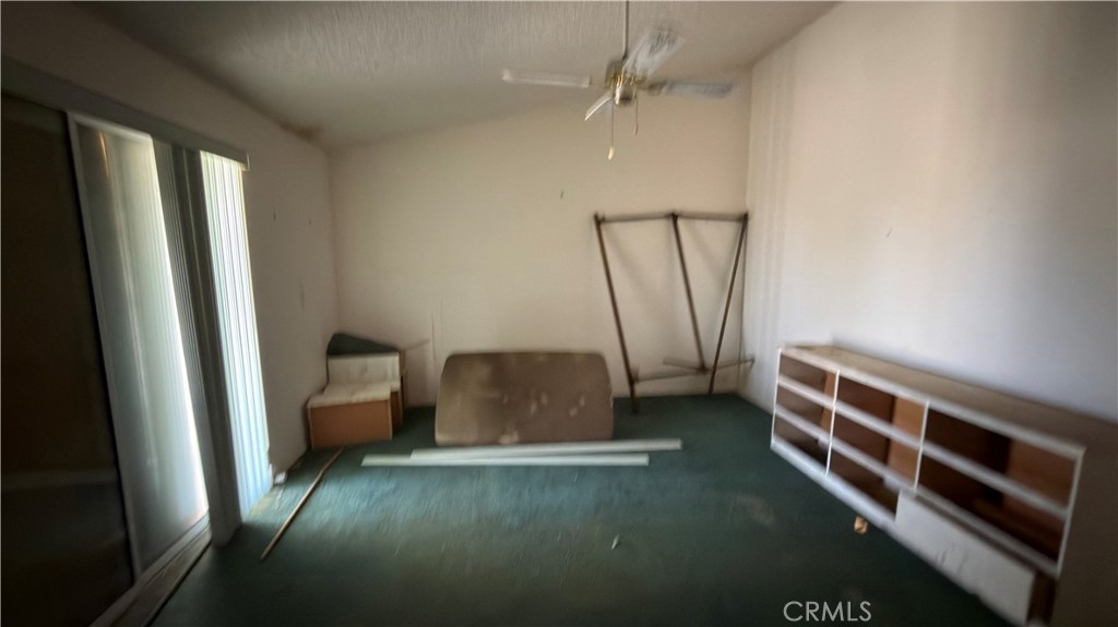 1561 Ailanthus Property Photo 14