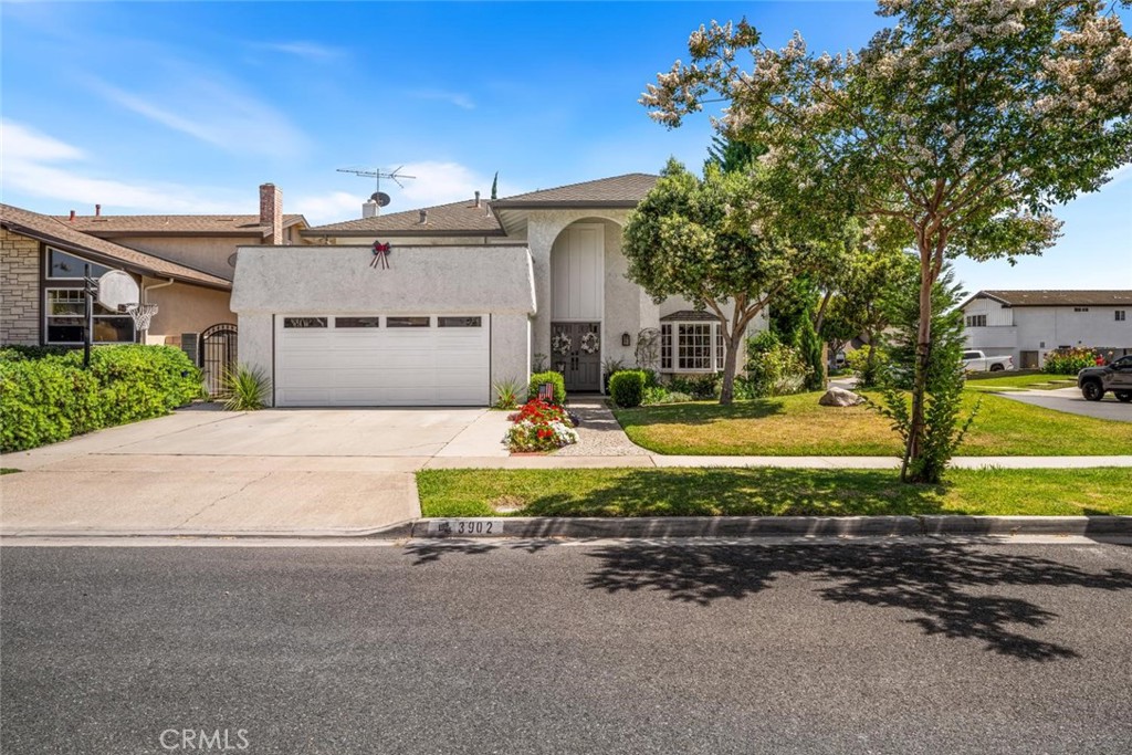 3902 Toland Property Photo 7