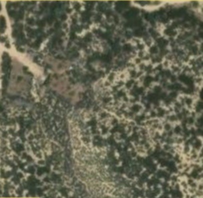 0 Dickson Hills Road Property Photo 1
