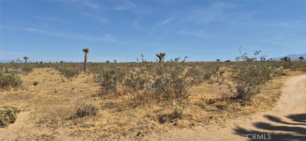 1 La Mesa Road Property Photo 1