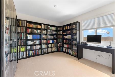 29240 Willow Ridge Court Property Photo 19
