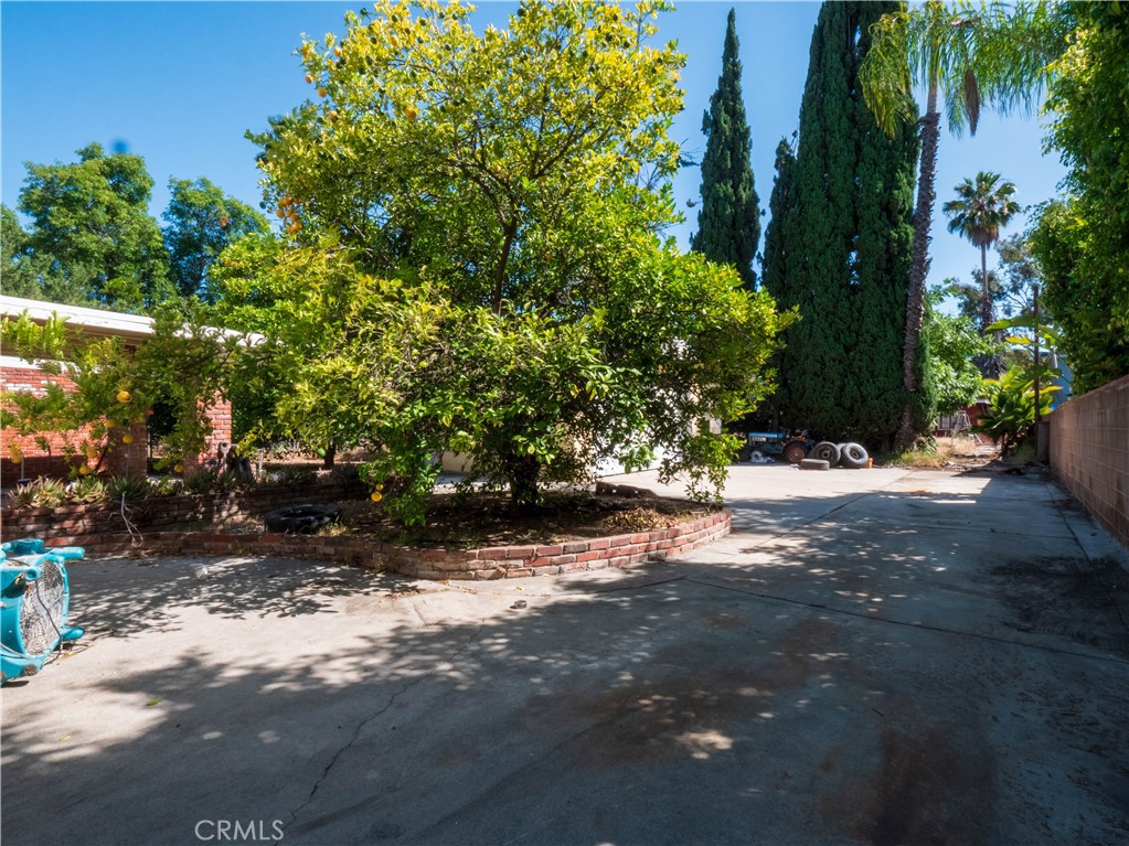 9281 Dorrington Property Photo 40