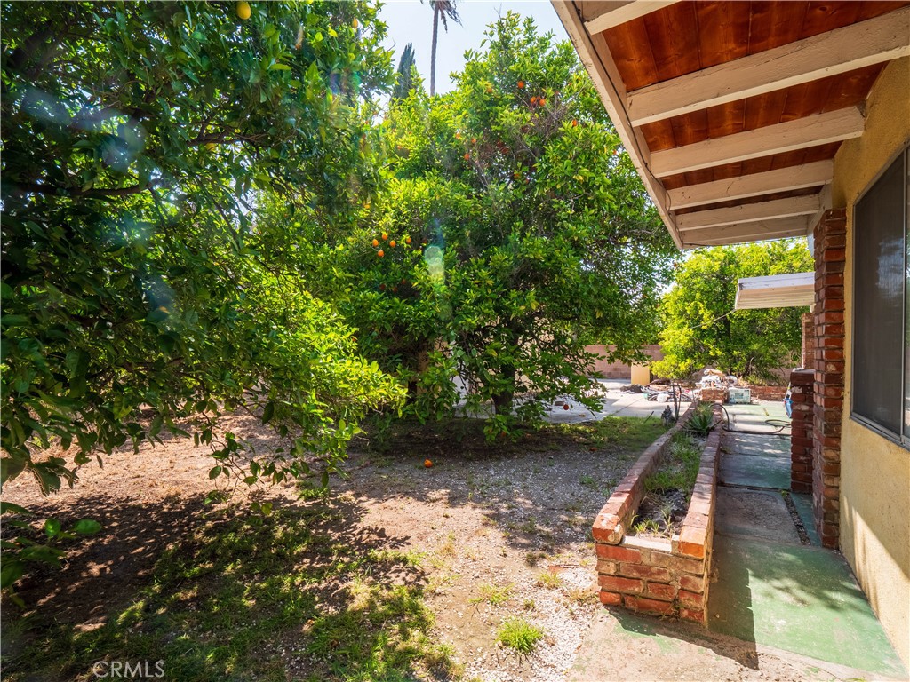9281 Dorrington Property Photo 50