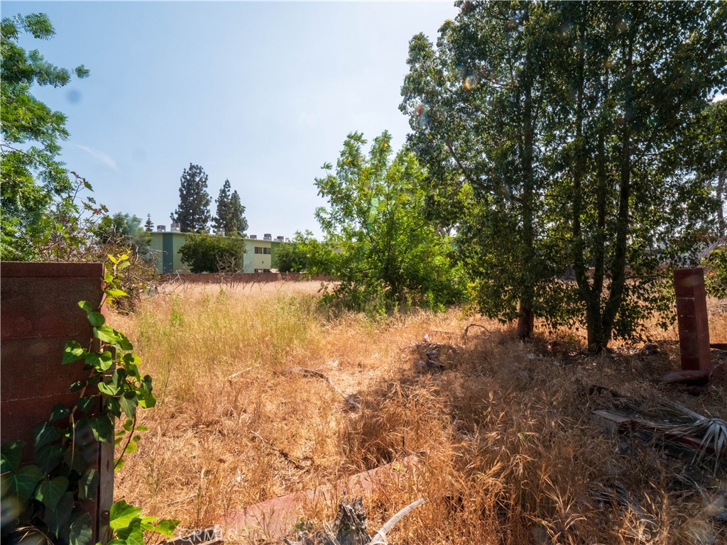 9281 Dorrington Property Photo 53