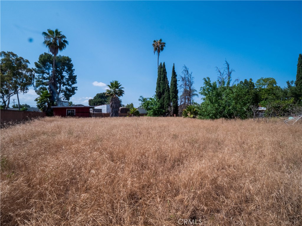 9281 Dorrington Property Photo 63
