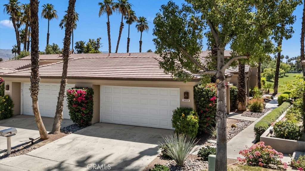 38824 Lobelia Property Photo 34