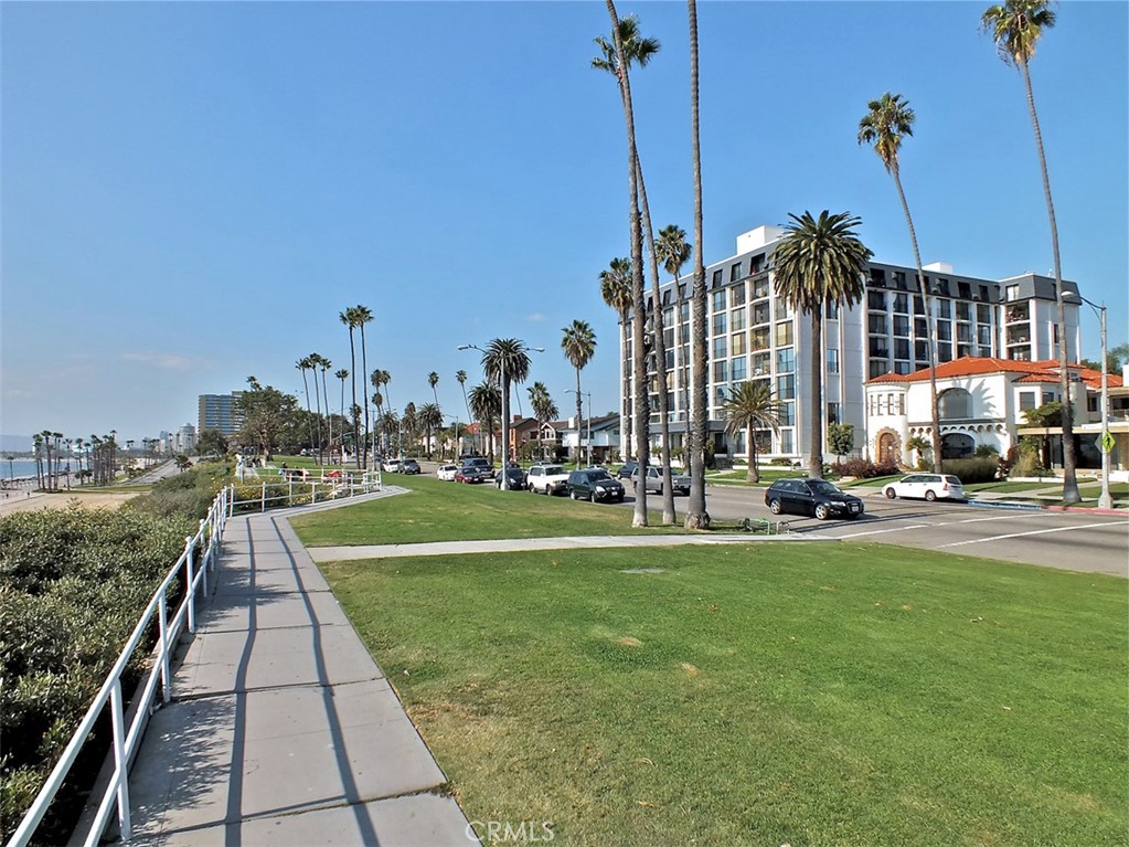 2601 E Ocean Boulevard 309 Property Photo 59