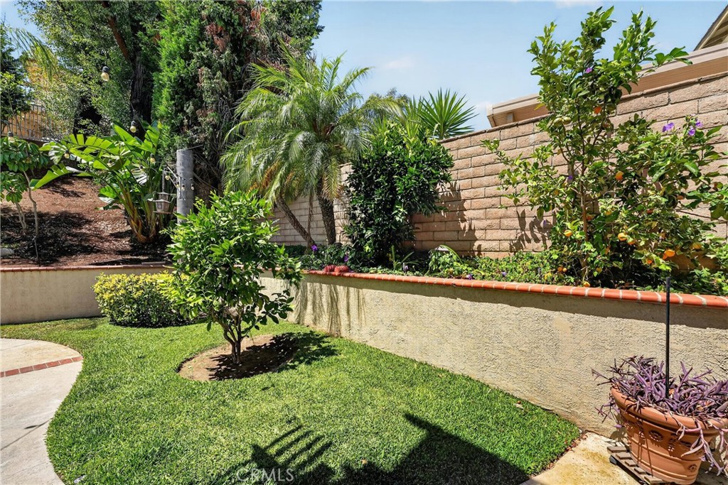 6119 Park Crest Property Photo 6