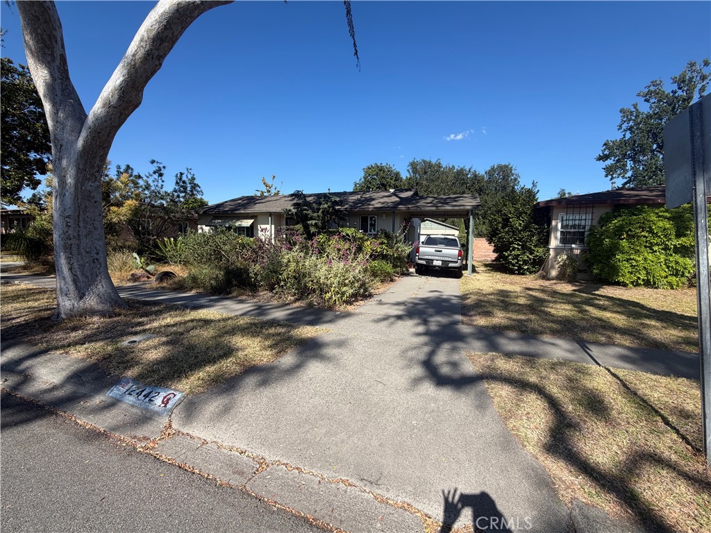12442 Pine Property Photo