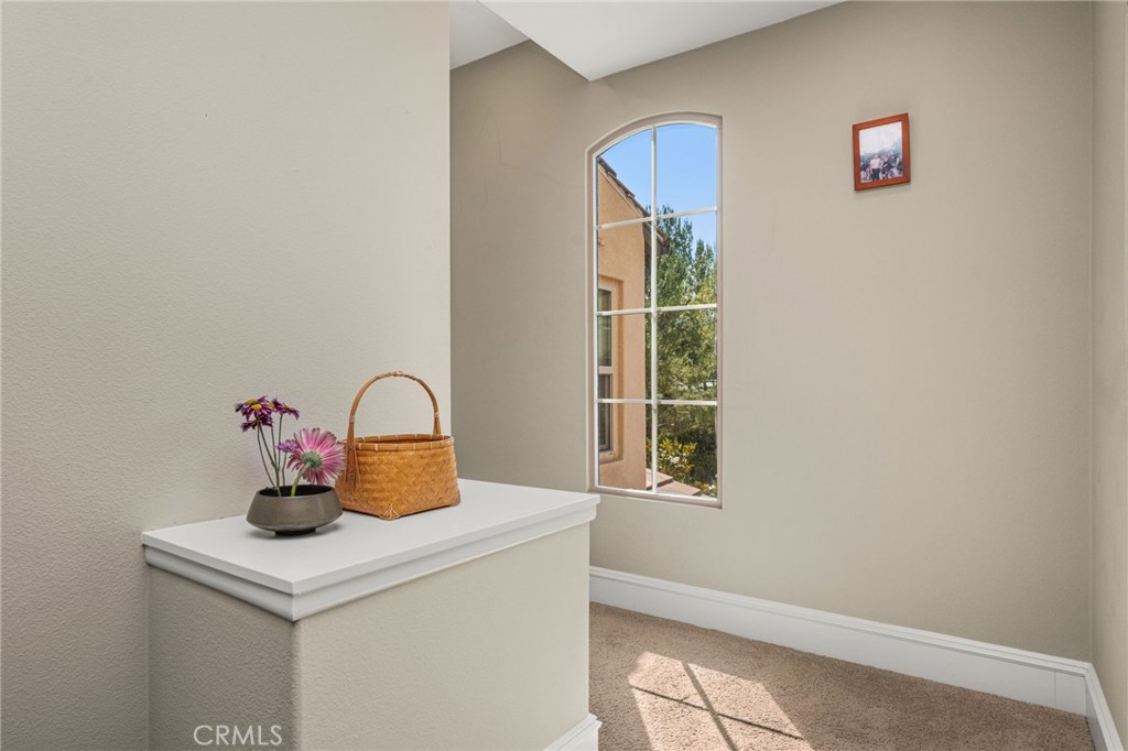 111 Tallowood Property Photo 26