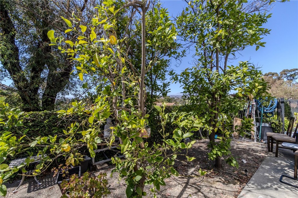 6415 E Stonebridge Property Photo 56