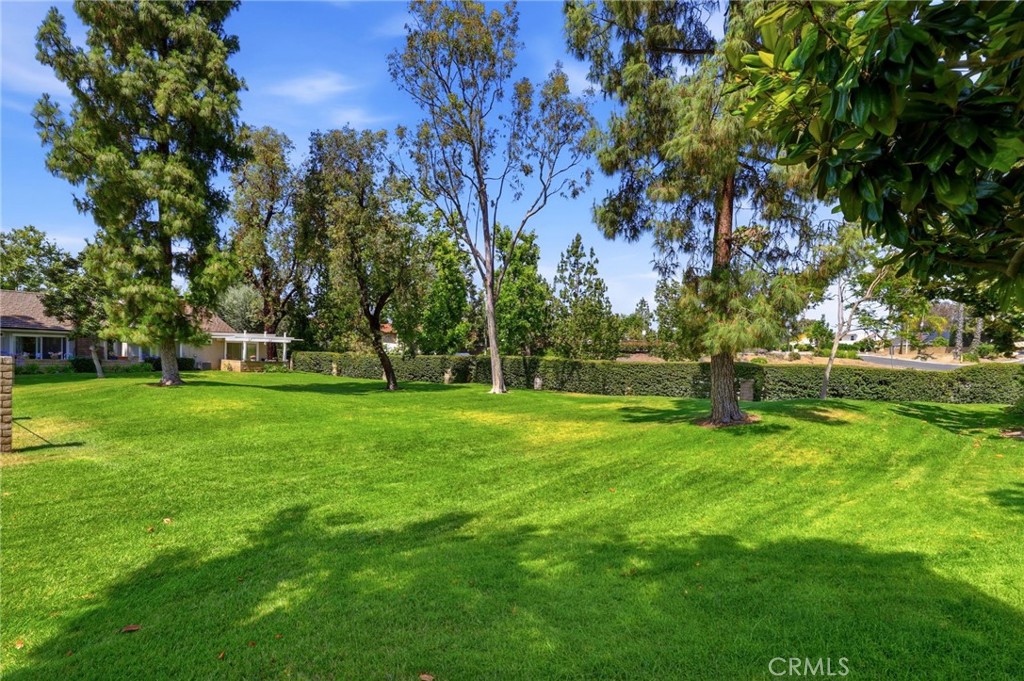 1260 Tiburon Property Photo 11
