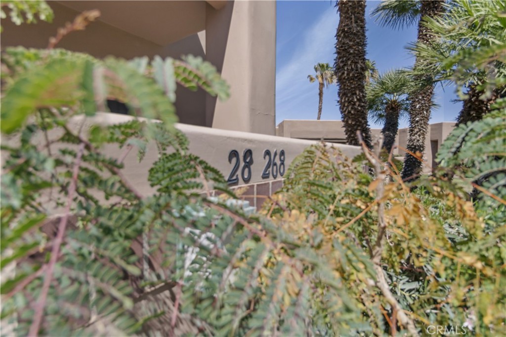 28268 Desert Princess Property Photo 3