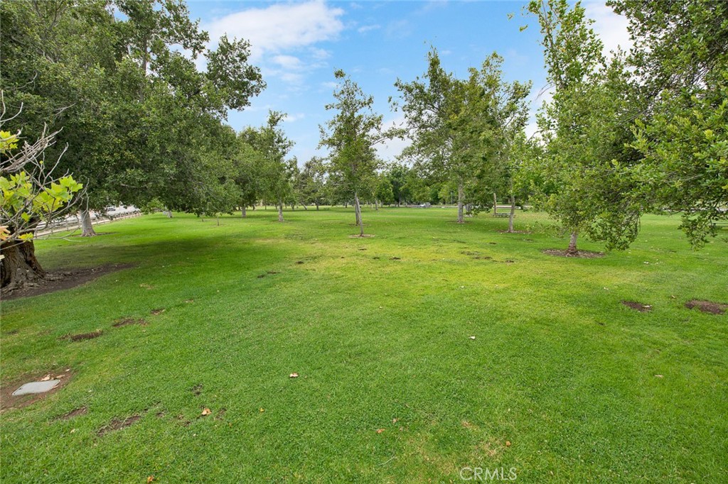 8305 E Star Pine Road Property Photo 24