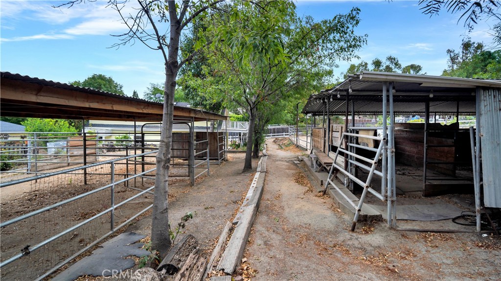 11061 Meads Property Photo 67