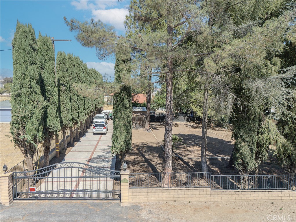 10410 Live Oak Property Photo 34