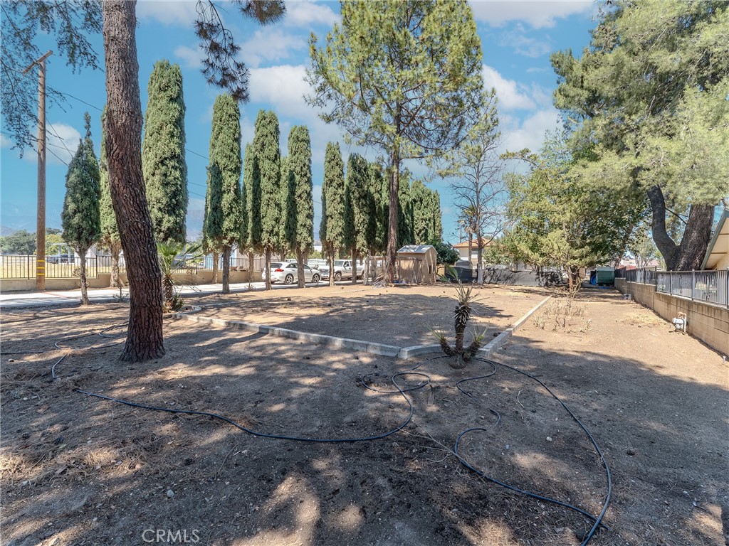 10410 Live Oak Property Photo 68