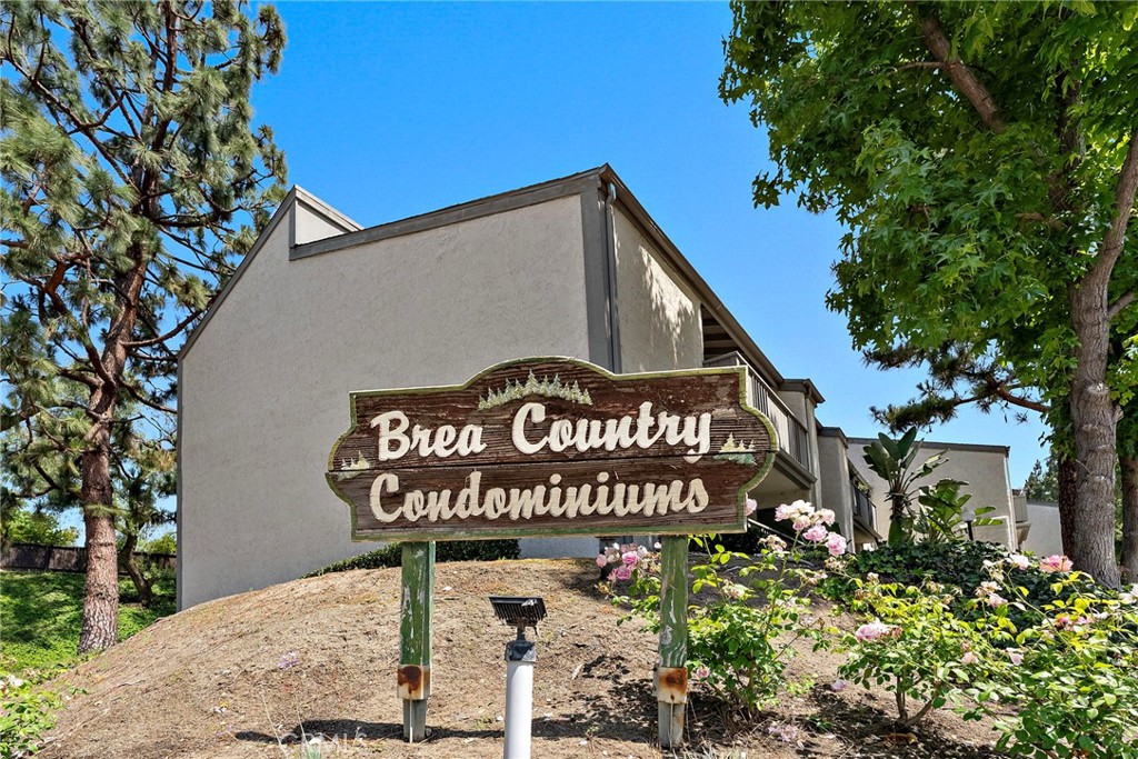 1665 Brea Property Photo 21
