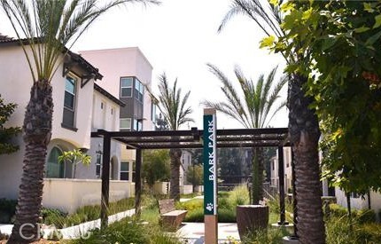 11020 Palapa Property Photo 33