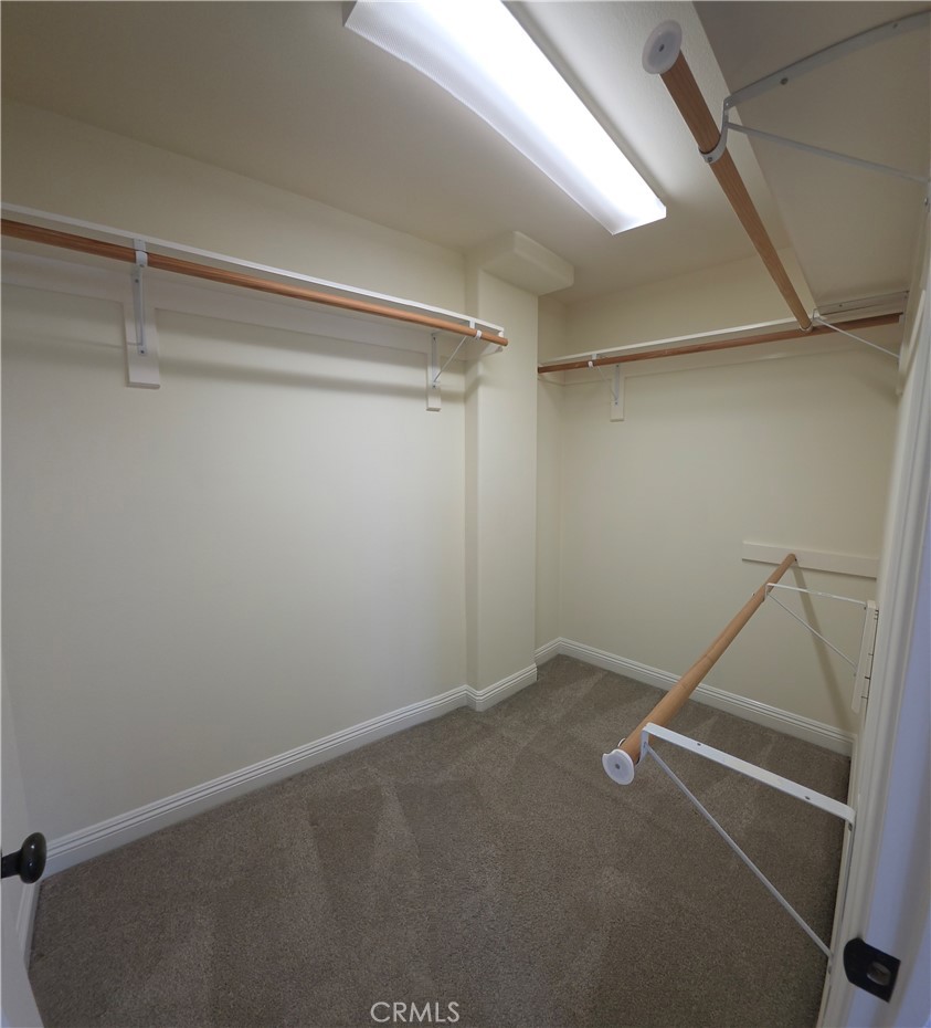 417 Beryl Cove Way Property Photo 47