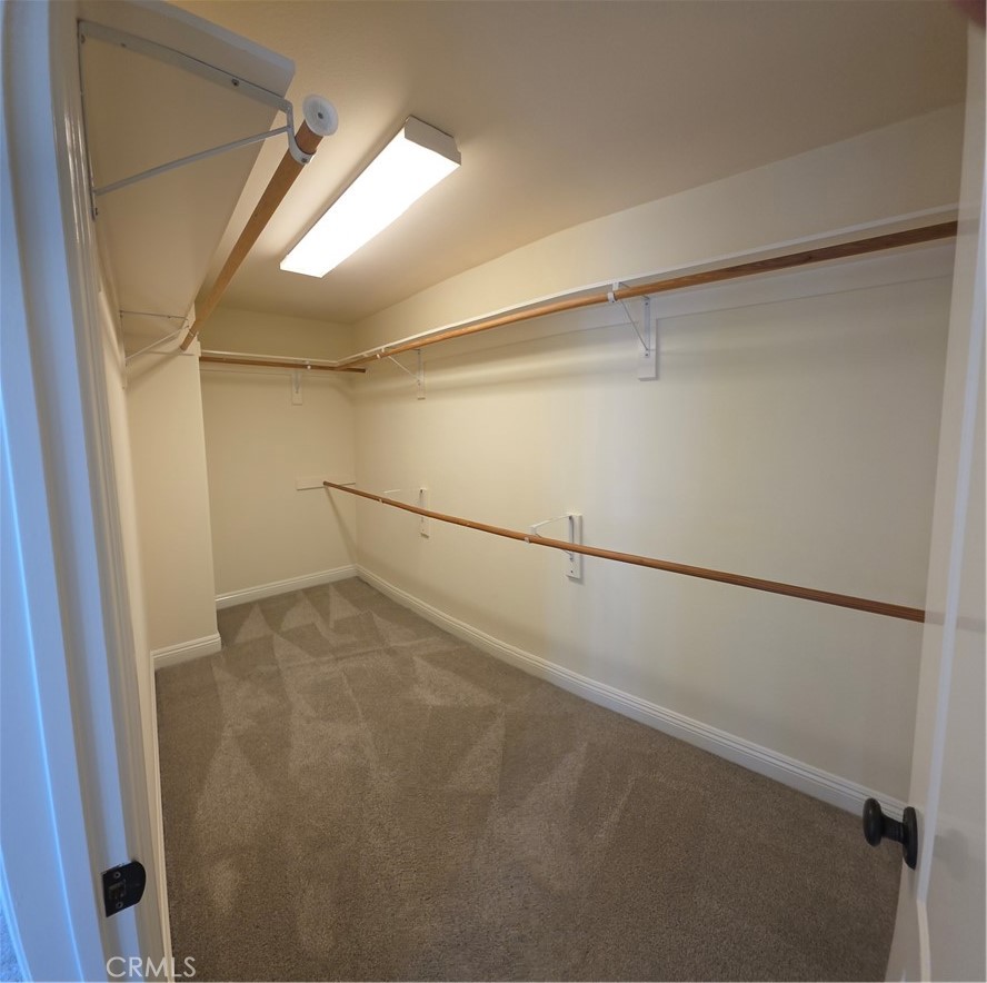417 Beryl Cove Way Property Photo 53