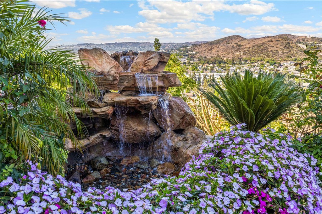 12352 Baja Panorama Property Photo 46