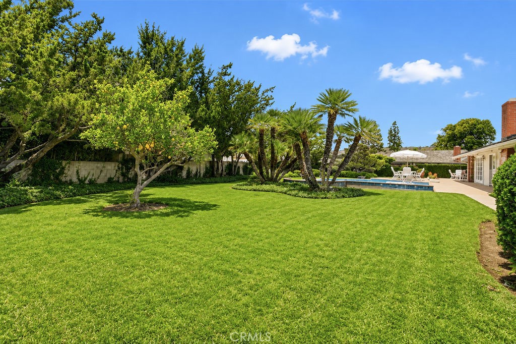 10131 Verde Lomas Property Photo 4