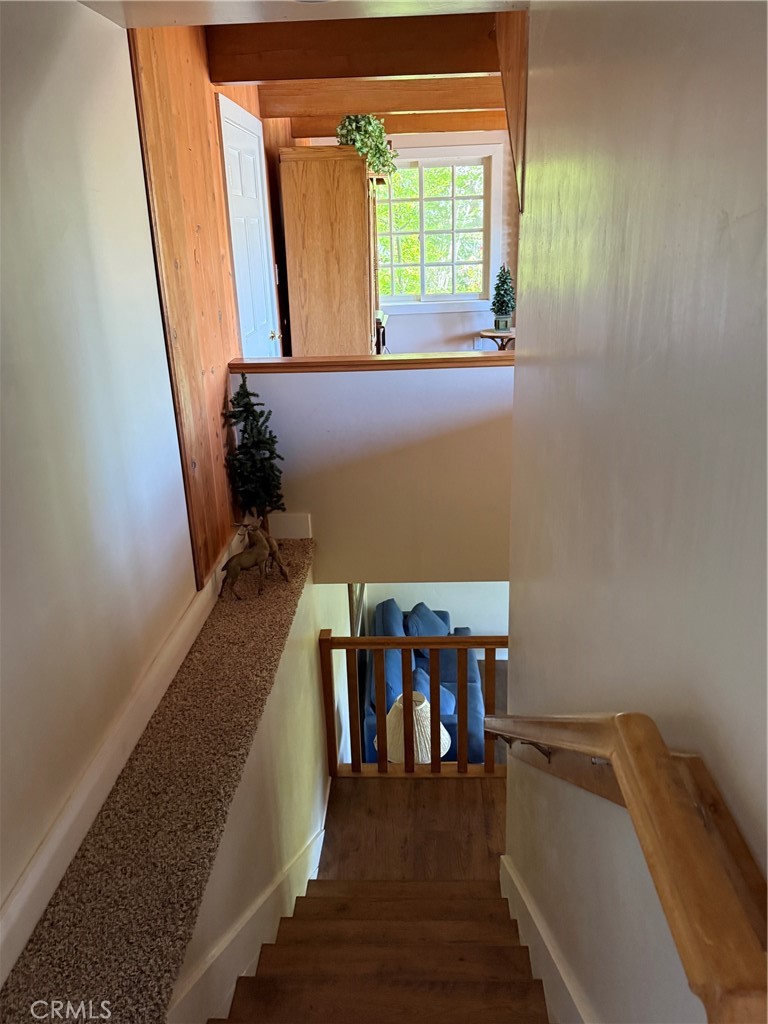 28838 Palisades Property Photo 39
