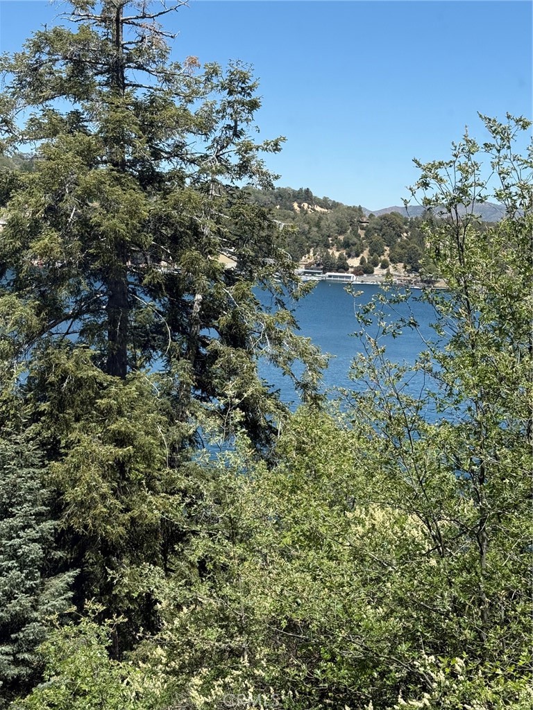 28838 Palisades Property Photo 61