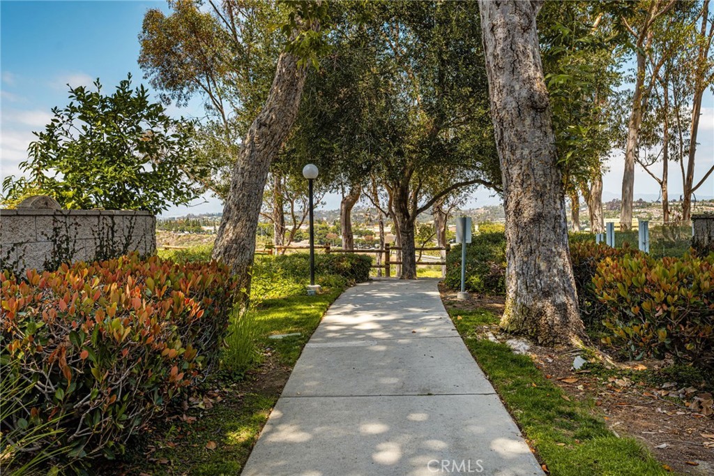 118 Matisse Property Photo 46
