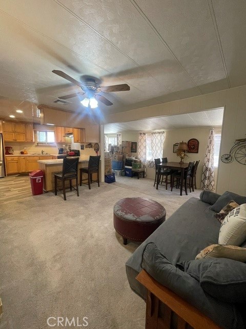 1131 Greenhill Property Photo 7