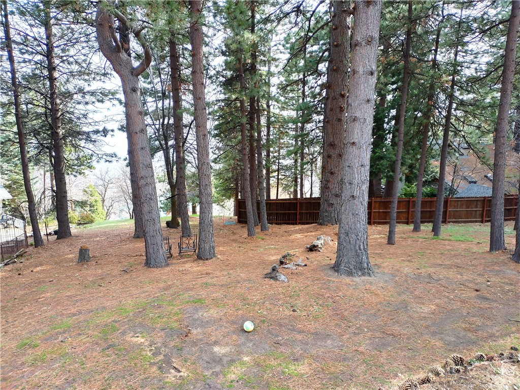 31083 All View Drive Property Photo 10