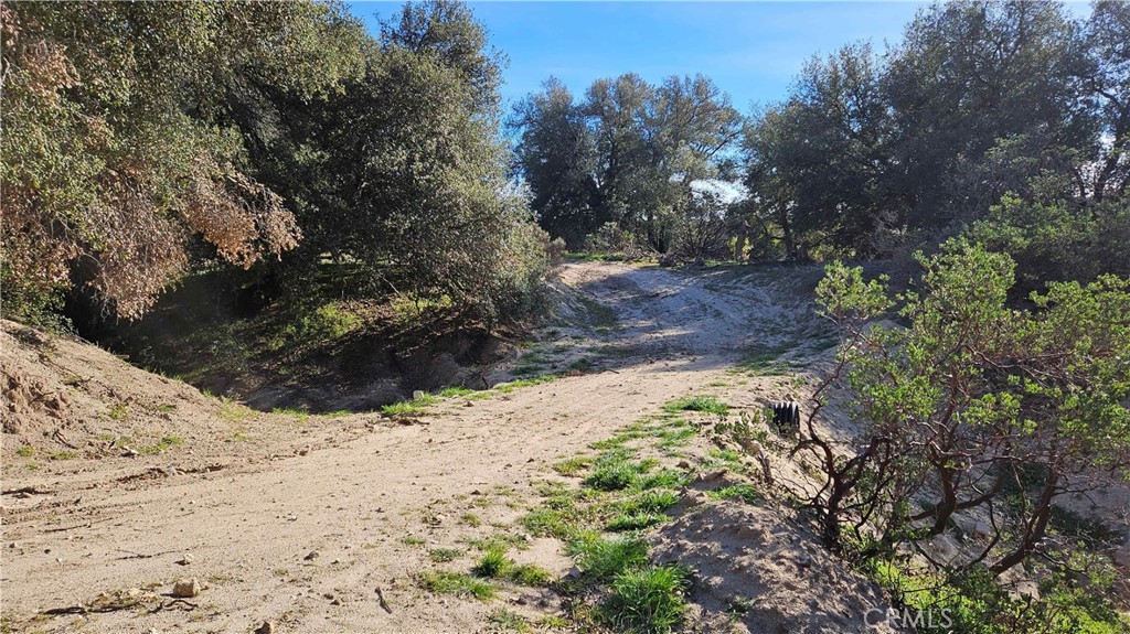 1910 Tierra Del Sol Road Property Photo 8