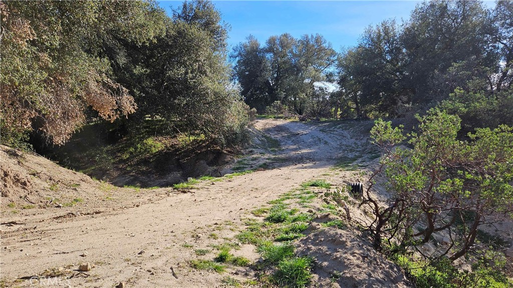 1910 Tierra Del Sol Road Property Photo 43