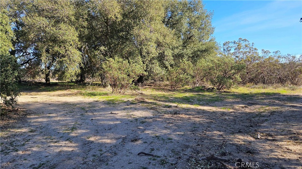1910 Tierra Del Sol Road Property Photo 44