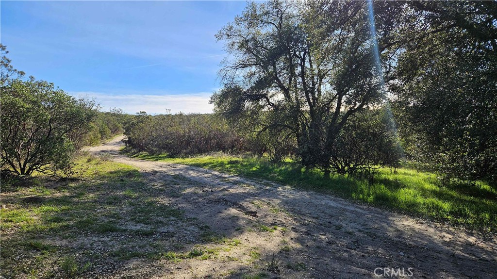 1910 Tierra Del Sol Road Property Photo 46