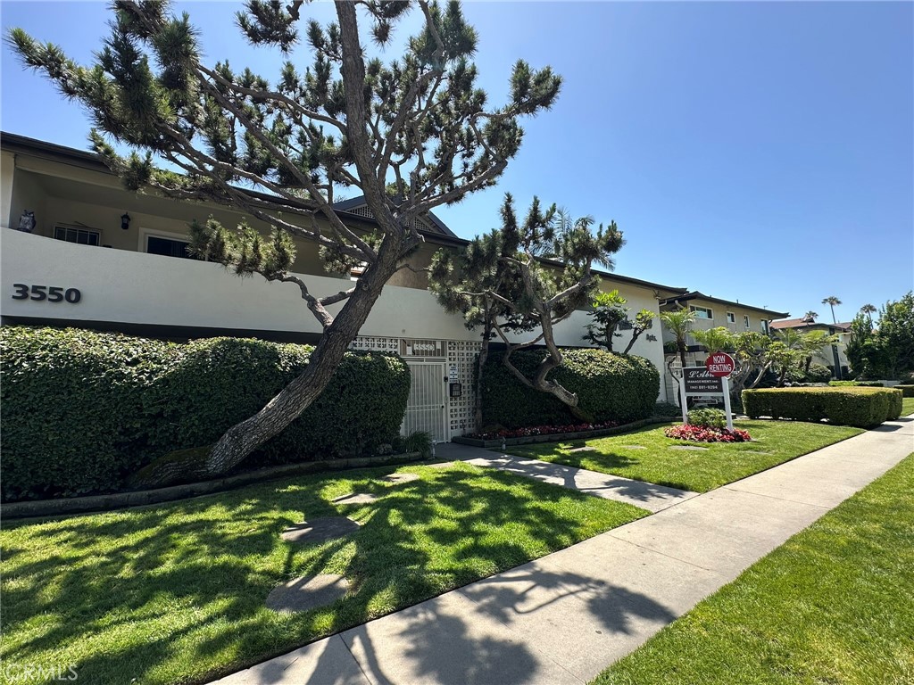 3546 3550 Los Flores Boulevard Property Photo 2