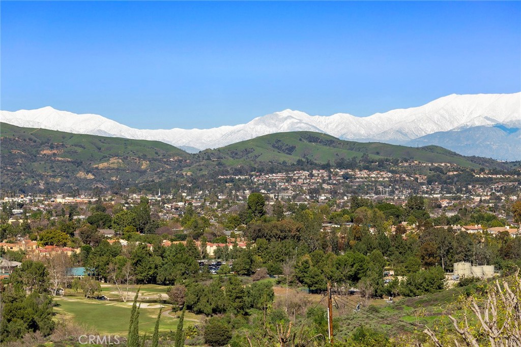 2061 Skyline Drive Property Photo 6