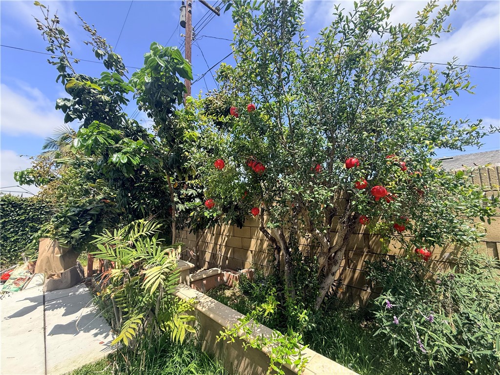 11335 Carob Property Photo 66