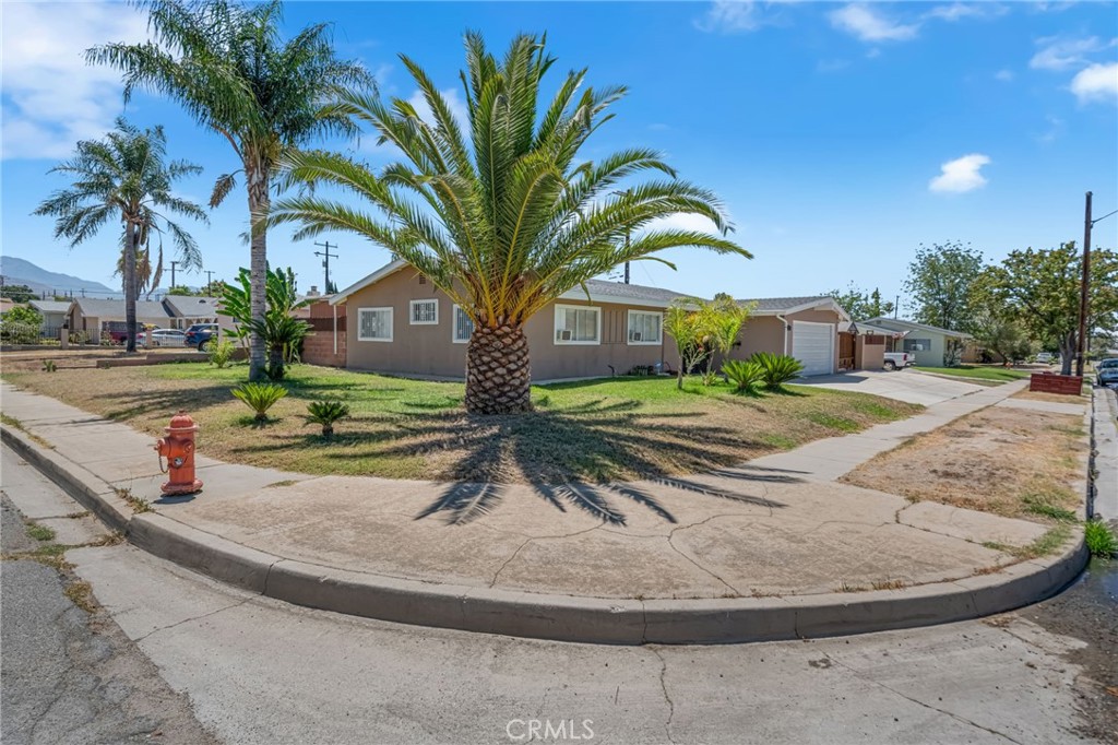 3559 Ferndale Property Photo 5