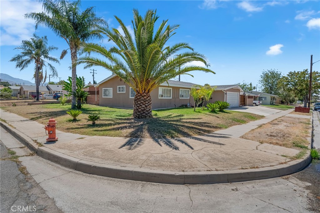 3559 Ferndale Property Photo 5