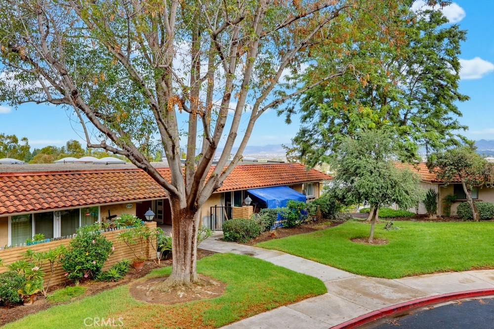 3123 N Via Serena N C Property Photo 37
