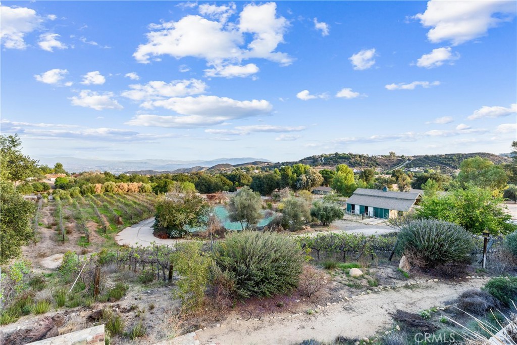 38557 Via Majorca Property Photo 50